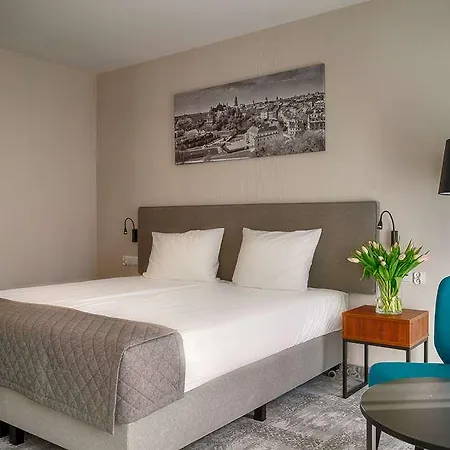 Focus Premium Lublin