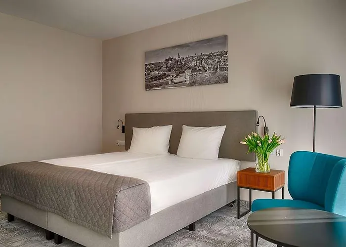 Focus Premium 루블린